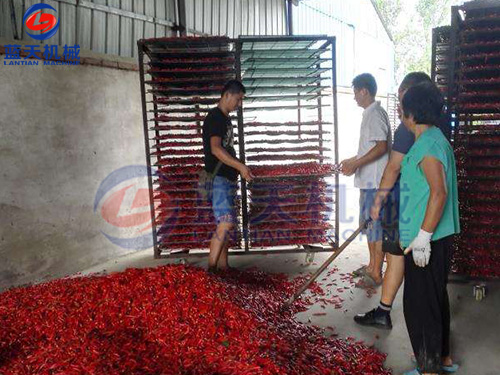 陜西辣椒烘干機用戶現場