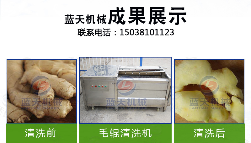 果蔬去皮機成果展示