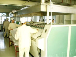 把握商機，承接優質資產 現成水洗廠整體與技術轉讓詳解